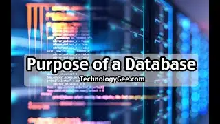 Purpose of a Database | CompTIA IT Fundamentals FC0-U61 | 5.1