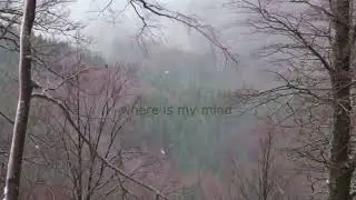 The Pixies - Where is My Mind (Winter, Harp)