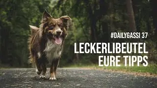 Hunde Leckerlibeutel - Eure Tipps [DailyGassi #37]