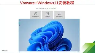 VMware虚拟机安装WINDOS11官方镜像免登陆激活教程|Windows 11 Install activation Tutorials