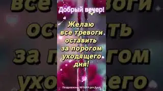 Добрый вечер! Счастья! Good evening! Happiness! #shorts #добрыйвечер