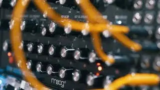Metric Analog Bass Loops & MIDI Files (Audiotent)