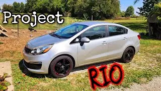 The Kia Rio