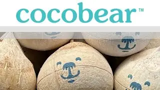 Cocobear ! The first Flash Frozen Coconut !