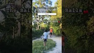The Ball Hit The Balls 🍒 | BEE | #bee #BEE #cricket #cricketlover #cricketshorts #cricketvideo