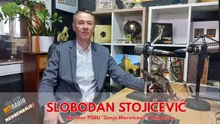 NEDREMANJE - gost SLOBODAN STOJIĆEVIĆ - 09.03.2023 - (Hit radio Požarevac)
