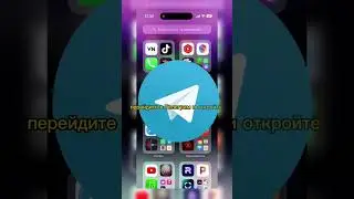 Как скачать REELS