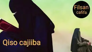 Qiso cajiiba