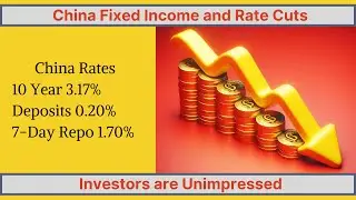 China's Fixed Income and Rate Cuts - X6