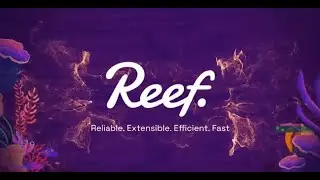 Discover the 2022 Review of Reef Chain: An Insider's Look at its Progress!