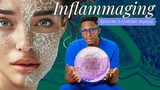 Inflammaging - Episode 3: Cellular Ageing