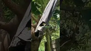 Church member caught stealing plum