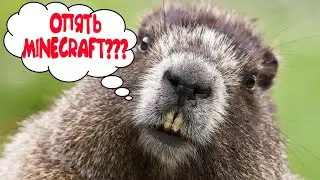 Топовый стрим ❤️❤️❤️