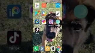 Как накрутить подписчиков в ТикТоке?!😱/// Работает!!!