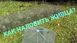 Как быстро наловить живца? |Ловля живца | эффективный способов | снасть для ловли живца