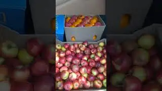 Благотворительность