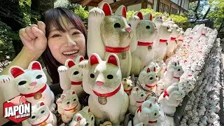 The 5 WEIRDEST TEMPLES IN TOKYO: Why are they like this?