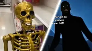 memes that scare your pet hamster