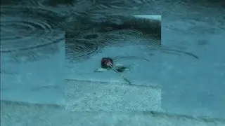 zxcursed, mupp - haunt (speed up)