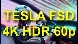 Tesla Full Self-Driving Beta 11.4.4 in Real Time (HDR 60p)