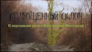 К верховьям ручья Восточный Мессажай.