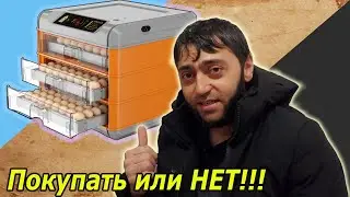 Полный обзор плюсов и минусов Инкубатора Умница, стоит ли покупать это Г@МНО