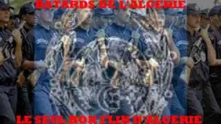 LES BATARDS DE L'ALGERIE