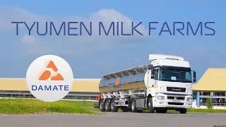 Damate. Tyumen Milk Farms