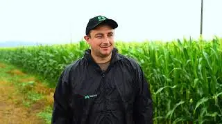 Кіровоградщина. Інтерв’ю з агрономом ПСП 