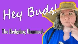 Hey Buds! | Hedgehog Hammocks | Maple #shorts