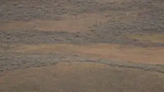 Wapiti Wolves Sept 3