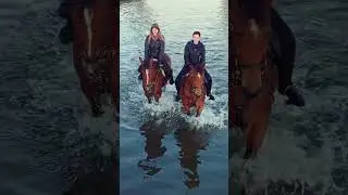 Gold autumn horses and girls in da river.