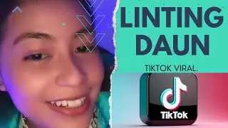 Linting Daun TikTok #lintingdaun #tiktok