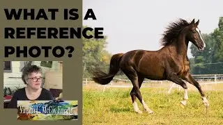 What is a Reference Photo?