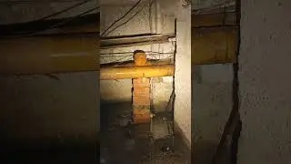 28 ноября 2023 г.