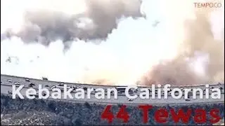 Kebakaran California Tercatat Paling Mematikan, 44 Tewas