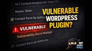Vulnerable WordPress Plugin? Catch It Before It Becomes a Problem