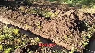Теплица своими руками