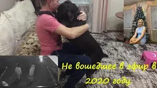 Ейск 2020 не вошедшее в эфир! Курцхаар, обитатели Азовского моря и не только.