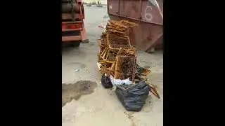 Во Владикавказе выбросили в мусор соты с живыми пчёлами