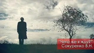 Чего же я жду? - Сокуренко В.Н. | 12 августа 2023 Магадан