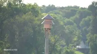 Federal Electric Model 3 Siren Test, 6:00 PM Curfew Blast, Center City, MN