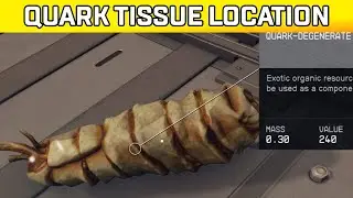 Starfield Where To Find Quark Degenerate Tissue