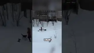 СПАСИТЕЛЬ🙏😍