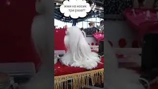 Чистая Красотка