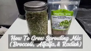 How to Grow Sprouting Mix (Broccoli, Alfalfa, and Radish Sprouts)