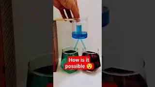water pressure 🌊 experiment #science #fun #physics #experiment