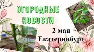 Огородные новости 2 мая Екатеринбург