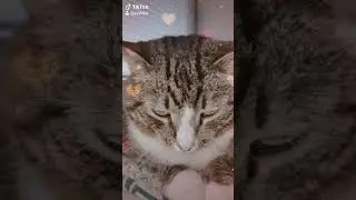 Это откуда к нам 