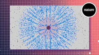 Searching for supernovas